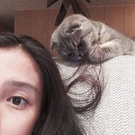 家里有四只猫是什么样的体验,家里有个调皮的猫是什么感觉