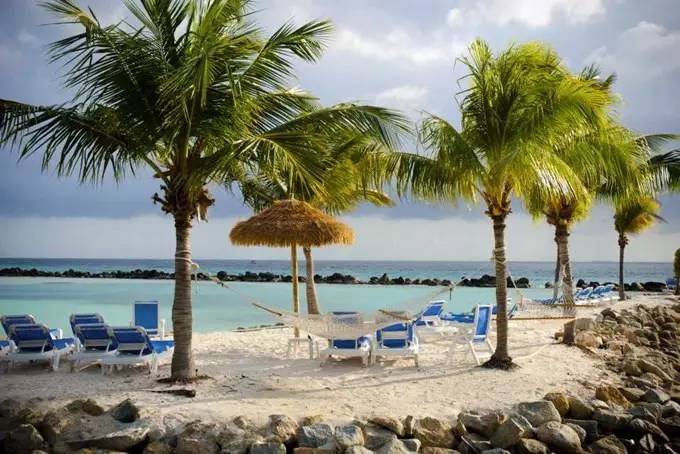 速度与激情8超燃时刻加速,速度与激情8所有车型详解