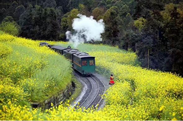 春季手机摄影大赛,摄影有哪些大赛