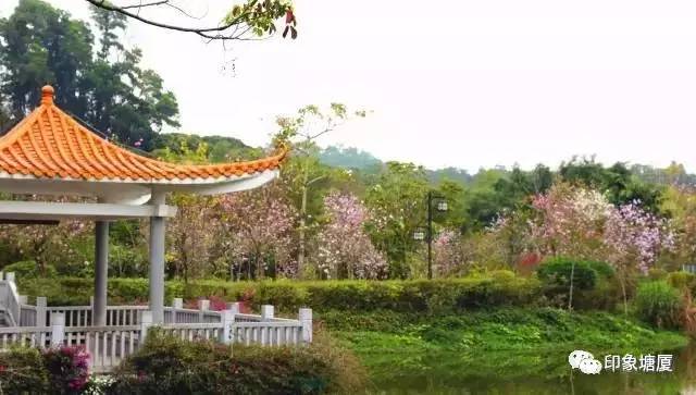 塘厦隐藏的美景,广东塘厦隐藏好玩地方