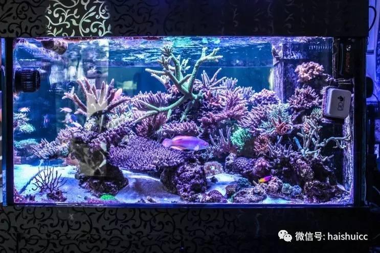 蛋炒饭的配方与做法,蛋炒饭的秘制酱料该怎么做