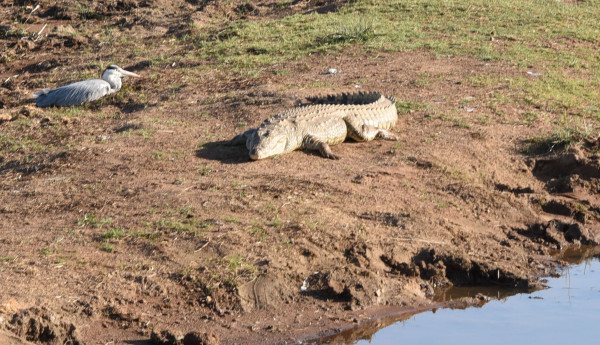 彩虹国家南非,彩虹国度南非之旅