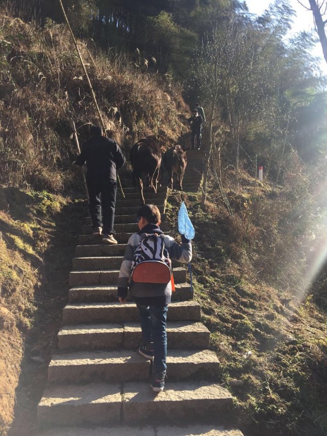 远山如黛原诗,远山如黛什么意思