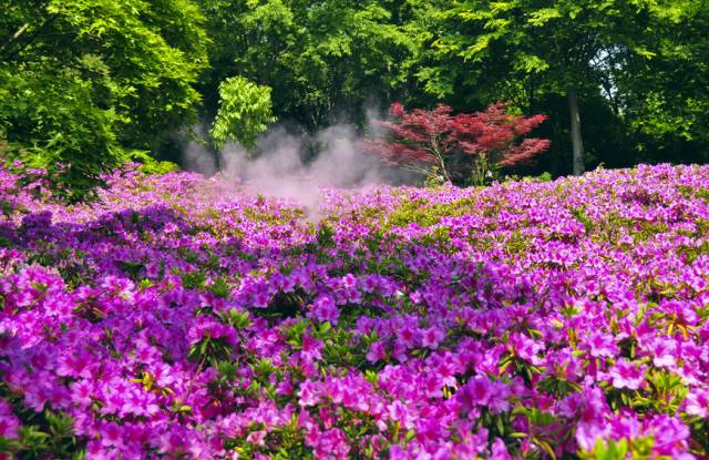 上海降温下雨了吗最近,上海降温最新通知