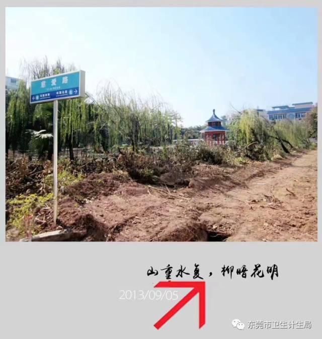 东莞市南城公立医院,东莞医疗机构曝光