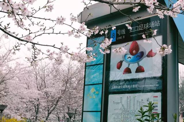 「拾趣」古典风、童话风……上海16座最美地铁站，你最常经过哪一站？