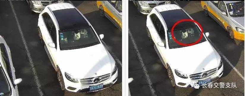 最新违法曝光台名单,2019违法曝光台