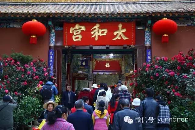 大理人去哪个省玩,大理人游西双版纳