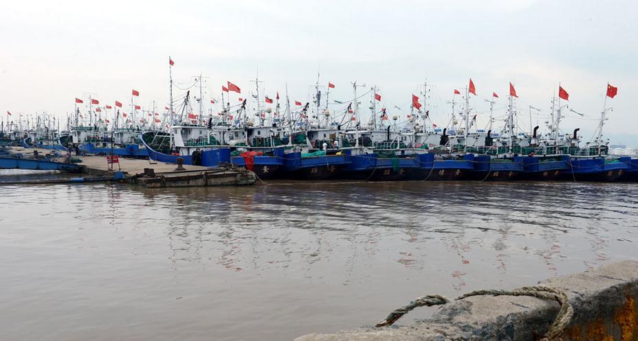 从厨师到老板的经历,从厨师到董事长