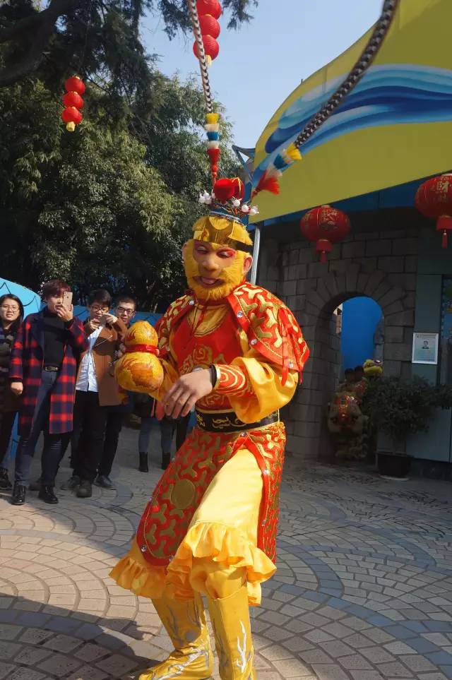 东湖海洋世界和海昌极地海洋公园,武汉东湖海洋世界和极地哪个好玩