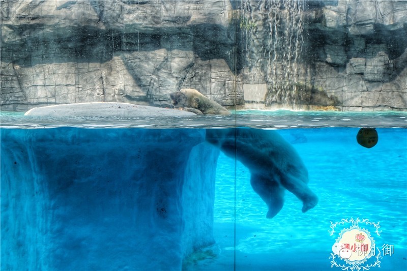 春节旅游新加坡,还能不能春节旅游去新加坡