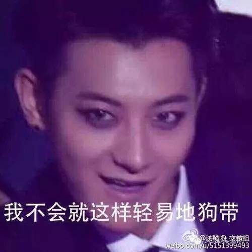 2015年中国十大网络热词,十大网络热词2015