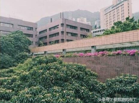 香港旅游攻略必去十大景点,香港西九龙下车后旅游攻略