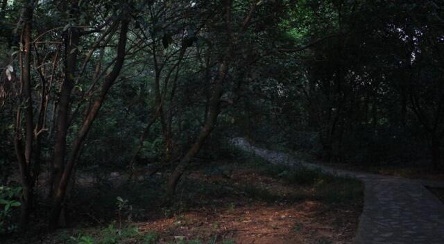 民间故事鬼怪传说八尺大人,民间鬼故事闹鬼的城隍爷