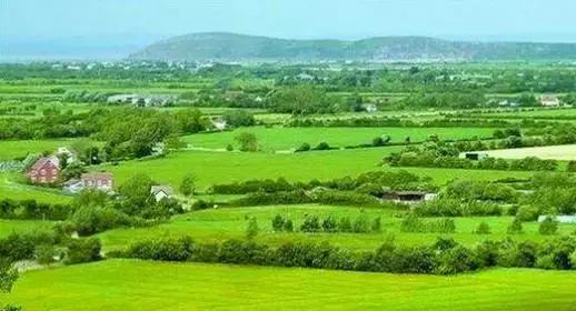 洋河品牌价值以42.81亿美元位列全球第三｜宿商动态