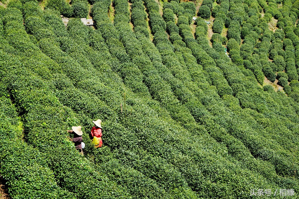 潮人和富人最爱的酒吧，从另一个高度看天堂杭州