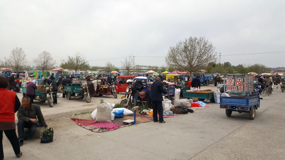唐山市乐亭县大集,河北唐山乐亭大集