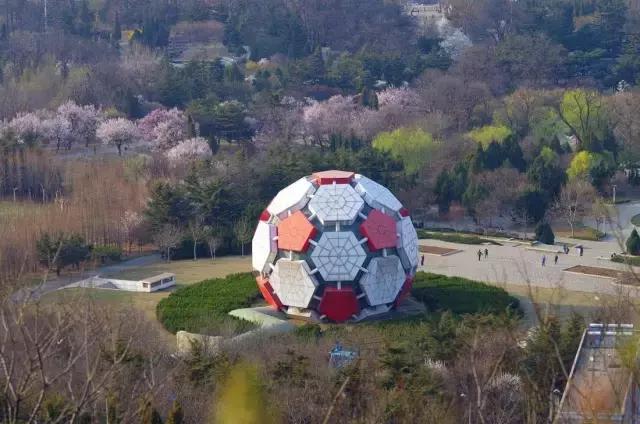 劳动公园大足球内部样子,劳动公园大足球叫什么