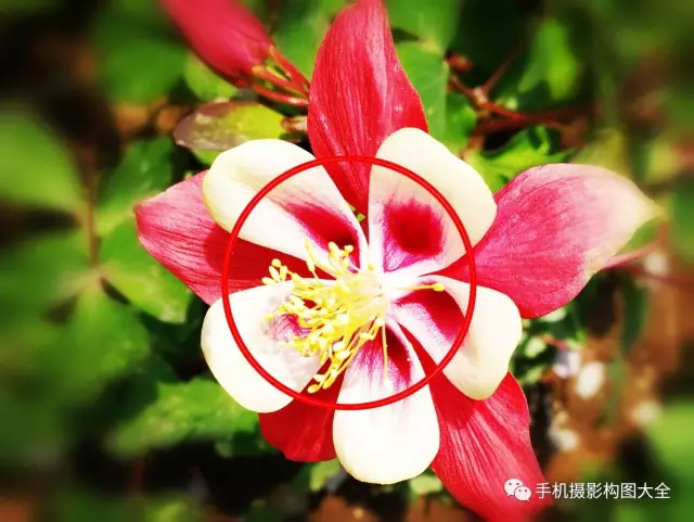 你一定要知道的夜景拍摄教程,怎样拍夜景才能人像清晰背景明亮