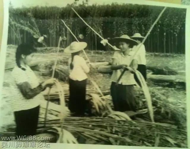 吴川旧时民国老照片,吴川市以前的照片