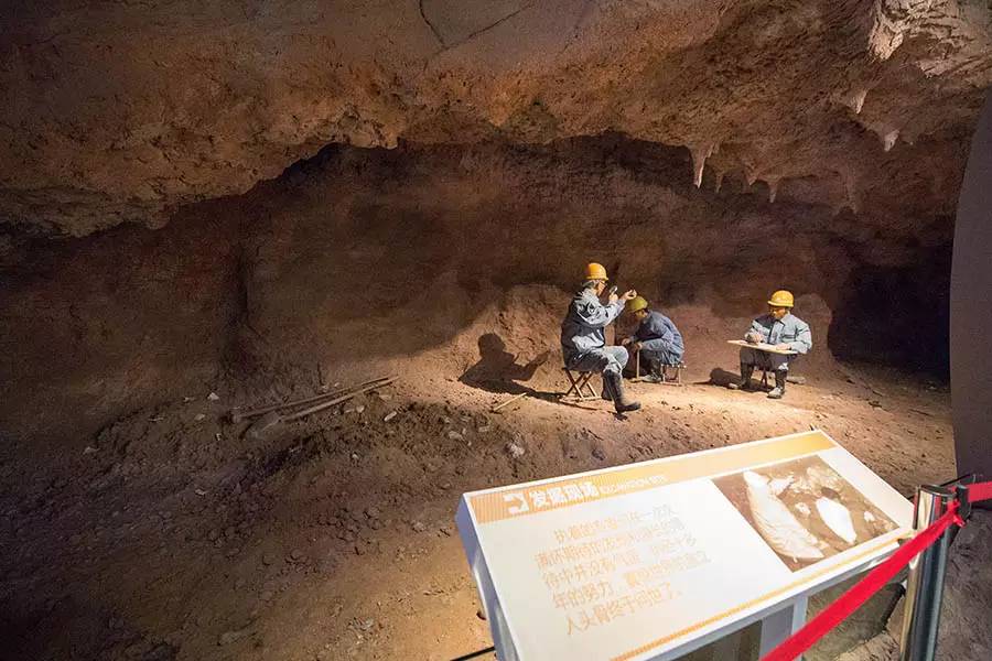 探寻人类的起源之谜,探寻人类祖先的奥秘