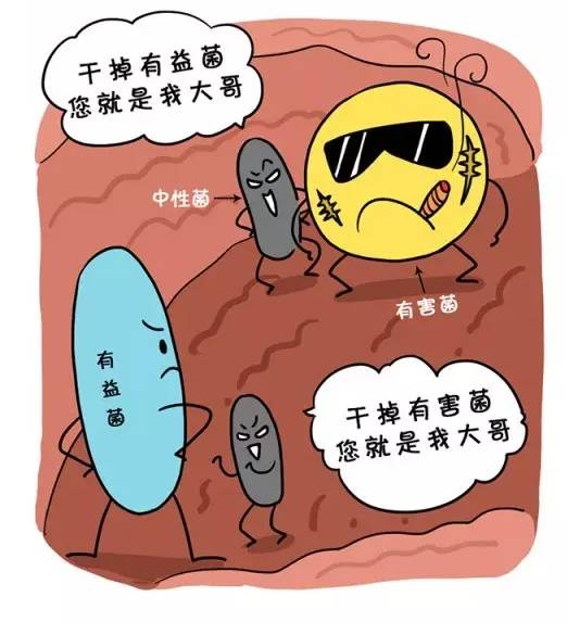 目前市场上真正的益生菌有哪些,要想买到好的益生菌怎么识别