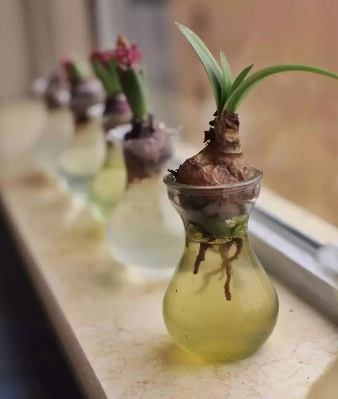 《一位作家的117平米圣托里尼》案例分享