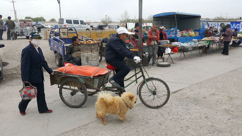 唐山市乐亭县大集,河北唐山乐亭大集
