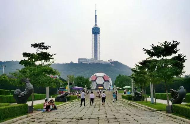 劳动公园大足球内部样子,劳动公园大足球叫什么