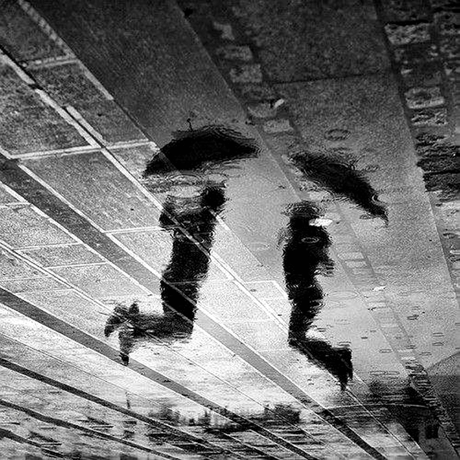 看准霍尼韦尔,购入ipx最好的时机