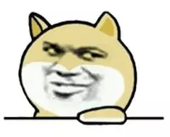 新人快跑小黄狗表情包,搞笑小黄狗表情包