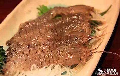 比手臂还粗的皮皮虾你吃过了吗,比手臂还大的皮皮虾吃起来超过瘾