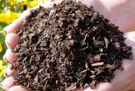 不换盆的情况下怎么给花卉换土,为花卉换盆换土的秘诀