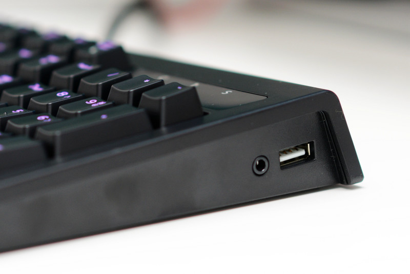 黑寡妇蜘蛛2019和幻彩版,黑寡妇蜘蛛幻彩版测评