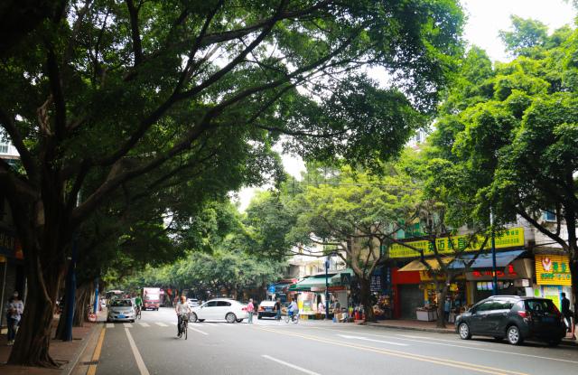 下渡路属于什么街道,下渡路夜宵大排档一条街