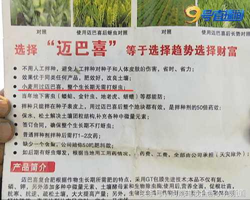 小麦枯黄打什么药最好,小麦枯黄生虫用什么肥