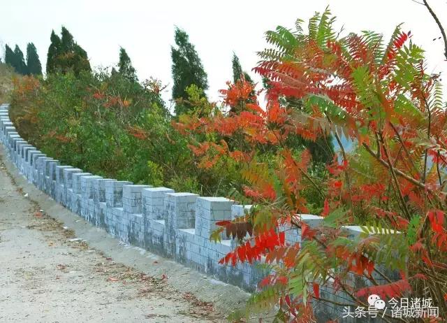 北漂姑娘的辞职信,一位姑娘的辞职信火了