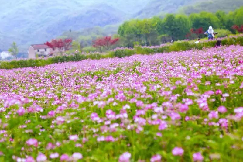 绍兴上虞为什么有海,上虞哪个地方有海