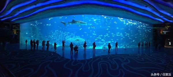 长隆海洋王国亲子游路线,一天游珠海长隆海洋王国亲子攻略