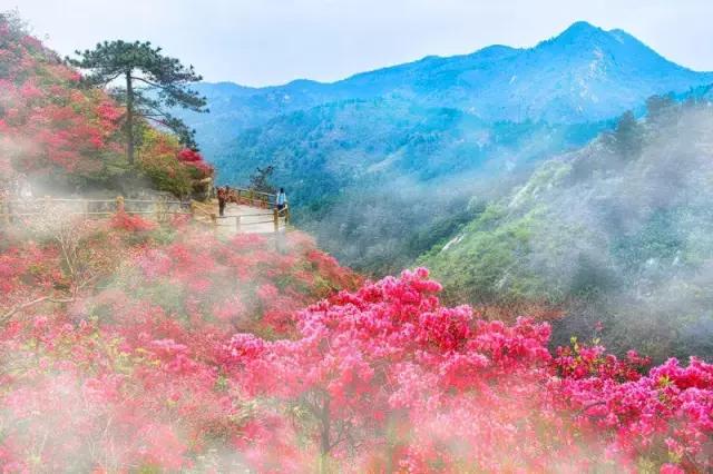 武汉五一去哪儿玩人少,五一去哪里玩武汉人少