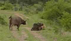 关于小明笑话大全50字,小明笑话大全100则