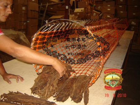 超级昂贵的雪茄,雪茄昂贵系列