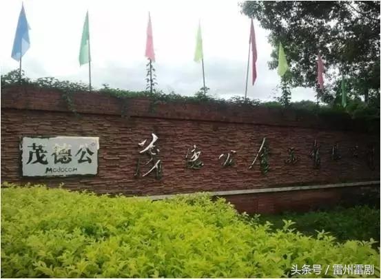 雷州富豪陈宇,陈宇从广州徒步回雷州多久