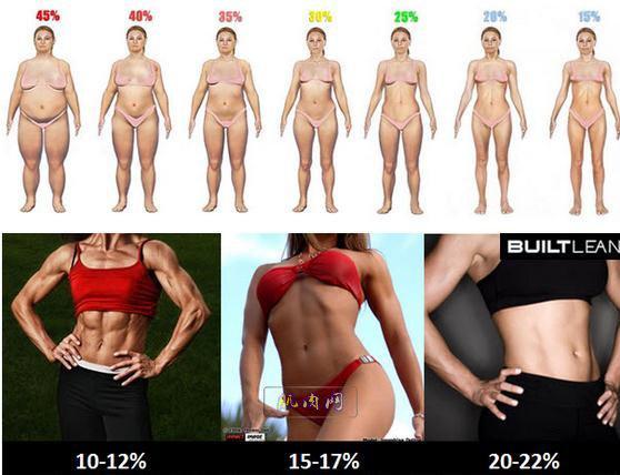 男女体脂率bmi对照表,男女体脂率高清对照图