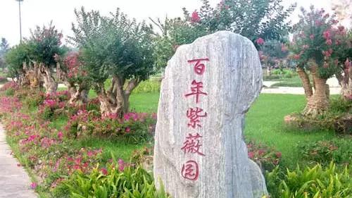 花木博览园一日游,春季游玩博览会