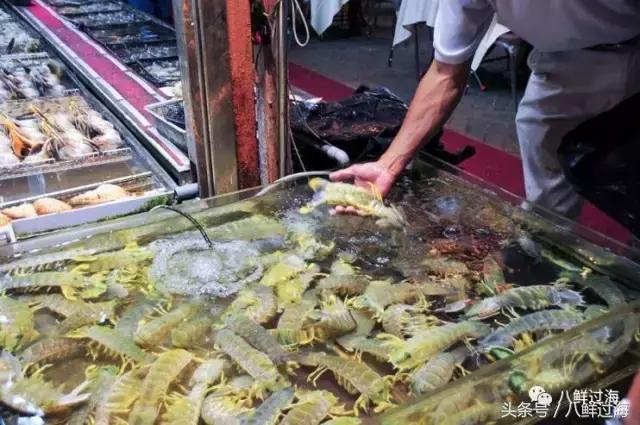 比手臂还粗的皮皮虾你吃过了吗,比手臂还要大的皮皮虾你吃过没有