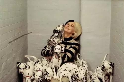 带你家狗狗一起看的电影,带宠物一起去看电影吧