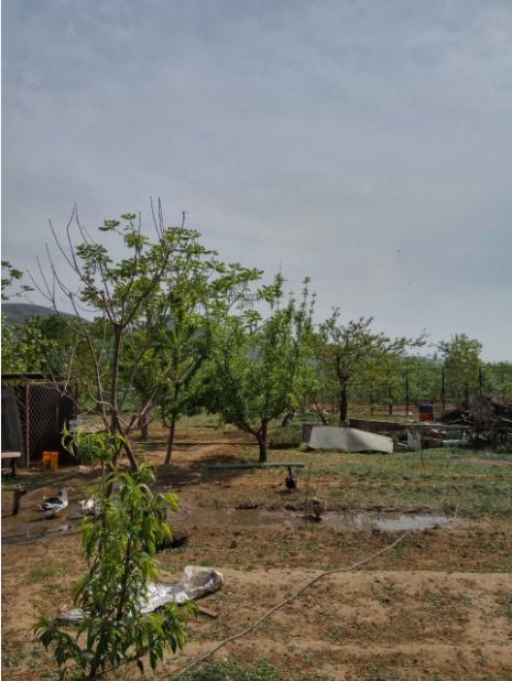 最美乡村小院北京,北京美丽新乡村精品独院出租