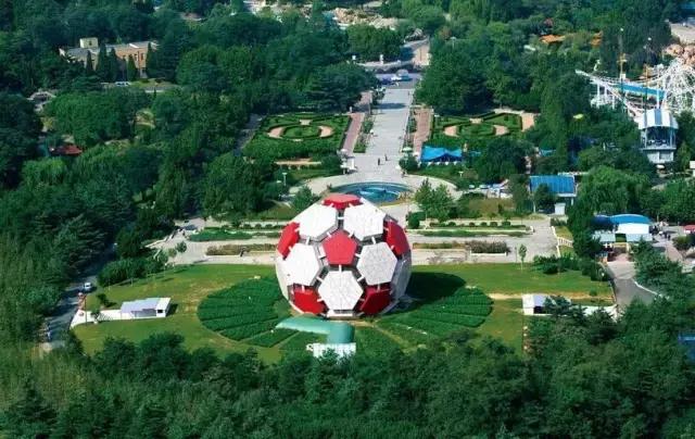 劳动公园大足球内部样子,劳动公园大足球叫什么