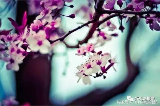 湖边拍很有感觉的照片,拍照很有感觉的照片